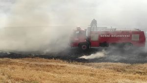 Besni’de 70 dönüm anız tarlası kül oldu - Videolu Haber
