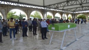 Boğulan amca çocukları toprağa verildi