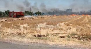 Bozhöyük Köyü'nde çıkan yangın korkuttu - Videolu Haber