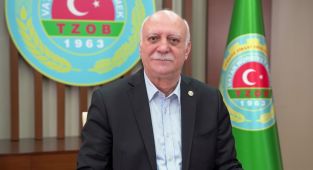 Buğdayda hasada sayılı günler kaldı