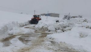 Büyükşehir’in Karla Mücadelesi Devam Ediyor
