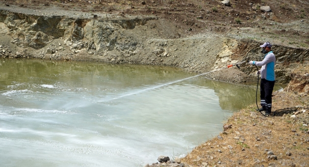 Büyükşehir’in Larva Mücadelesi Devam Ediyor