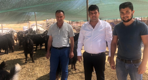 Çakmak:"Tüm Ülkeye Yetecek Küçükbaş ve Büyükbaş Hayvanımız Mevcut"