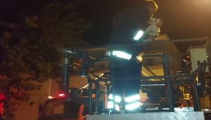 Çatıda mahsur kalan kedi kurtarıldı