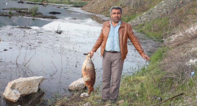 Çelikhan’da Baraj Gölündeki Balıklar Kirlilikten Ölüyor - Videolu Haber