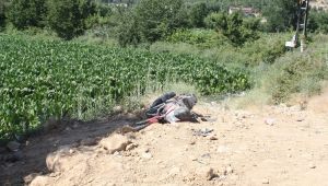 Çelikhan’da motosiklet ile kamyonet çarpıştı: 2 yaralı