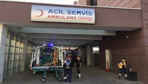 Ceviz ağacından düşen yaşlı adam yaralandı