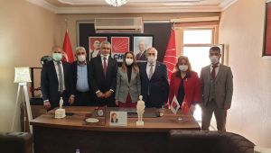 CHP, Adıyaman’da kadına şiddete 'dur' dedi