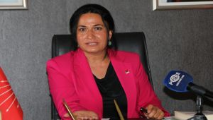 CHP'li Köseler'den CHP 37. Olağan Kurultay açıklaması