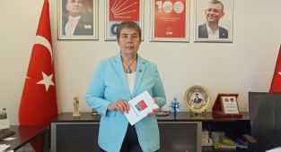 CHP'li Şabaz sağlık çalışanlarına yönelik şiddeti değerlendirdi - Videolu Haber