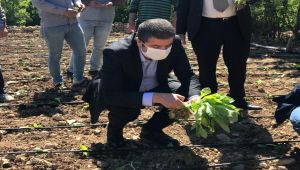 CHP’li Tutdere: Çiftçiler Üretmeye Devam Edebilmesi İçin Desteğe İhtiyacı Var