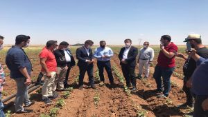 CHP’li Tutdere: çiftçilere zulmediyorlar - Videolu Haber