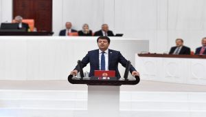 CHP'li Tutdere: