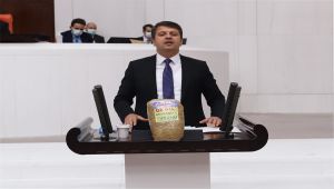 CHP’li Tutdere: Üreticilerimizi cezaevine değil, hep beraber tarlaya gönderelim - Videolu Haber