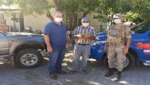 Çiftçinin bulduğu Şahin koruma altına alındı