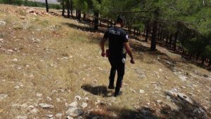 Çığlık ihbarı polis ve jandarmayı alarma geçirdi - Videolu Haber