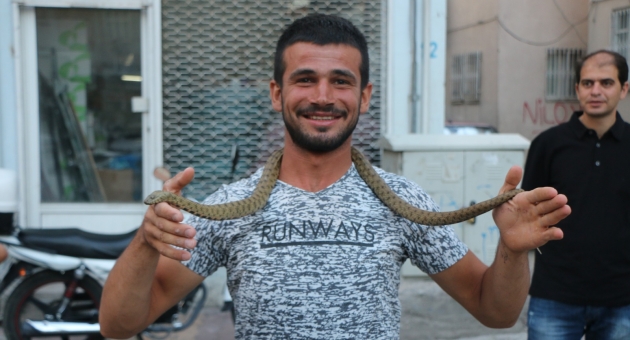 Çıplak Elle Yakaladığı Zehirli Yılanla Oyuncak Gibi Oynadı