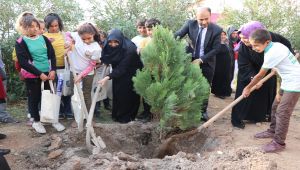 Çocuklar Bu Projeyi Çok Sevdi