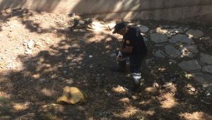 Çuvala konularak suya atılan yavru köpekleri itfaiye ekipleri kurtardı - Videolu Haber