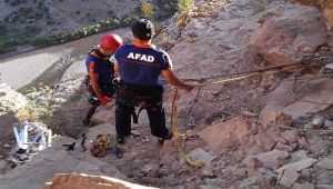 Dağlık alanda mahsur kalan keçinin imdadına AFAD yetişti