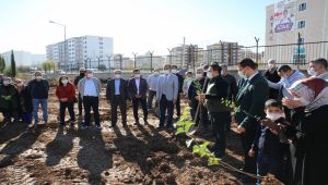 Daha yeşil bir Adıyaman için fidan dikimi devam ediyor