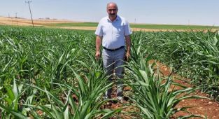 DEVA Parti’li Mehmet Anaç: ‘500 bin ton sıfır vergili mısır ithalatı tarımı iflasa sürükler’