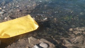 DSİ, Çat Barajı Gölüne Yavru Balık Bıraktı
