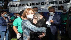 Dünya Hayvanları Koruma Günü kutlandı