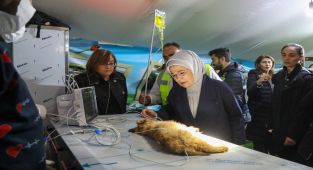 Emine Erdoğan deprem bölgesi Nurdağı ve İslahiye ilçelerini ziyaret etti