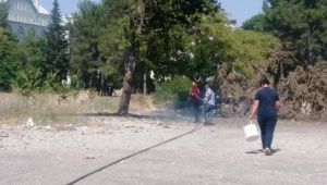 Eski devlet hastanesi ağaçlık alanında yangın
