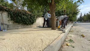 Eski Zey Yolunda kaldırım çalışması