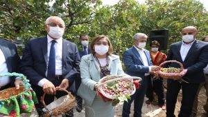 Gastroantep, Antep fıstığı hasadı ve şire yapımıyla başladı - Videolu Haber