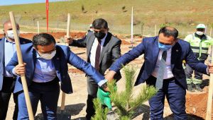 Geleceğe nefes olacak fidanlar toprakla buluşturuldu - Videolu Haber