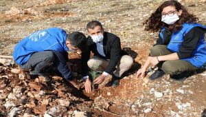 Gençler 'Daha Yeşil Bir Türkiye' için fidan dikti