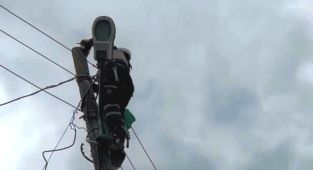 Gerger’de elektrik direğinde kedi kurtarma operasyonu