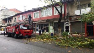 Gölbaşı Belediyesi Ağaç Budama Çalışmaları Sürüyor