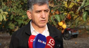 Gölbaşı'nda 10 bin ton hurma rekoltesi bekleniyor