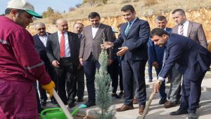 Gölbaşı'nda 30 Bin Fidan Toprakla Buluştu