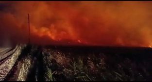 Gölbaşı’nda 40 dönüm buğday tarlası yandı - Videolu Haber