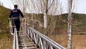 Gölbaşı'nda ağaçta mahsur kalan kedi kurtarıldı - Videolu Haber