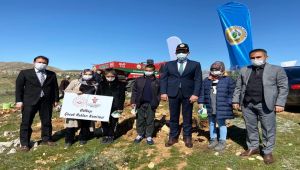 Gölbaşı'nda fidanlar toprakla buluştu