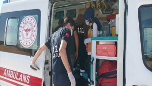 Hafif ticari otomobil çarpıştı: 1 yaralı