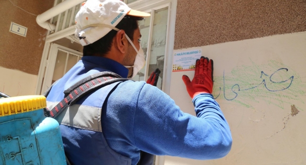 Haliliye’de İlaçlama Çalışması Aralıksız Devam Ediyor