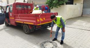 Haşereyle mücadele çalışmaları başladı
