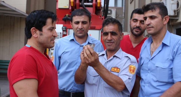 Hastane Çatısına Takılan Yavru Kırlangıç Kurtarıldı