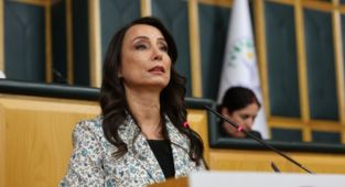 Hatimoğulları: 'Silah bırakma merasimi barışın eşiğidir, Meclis somut adımlar atmalıdır'