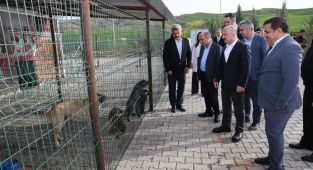 Hayvan barınakları incelendi