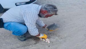 Hayvan severden örnek davranışı cep telefonu ile görüntülendi - Videolu Haber