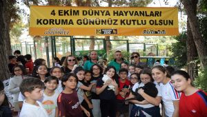 Hayvanlar, İnsanların Dünya’daki En Büyük Ortağıdır