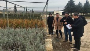 Hedef ‘Yeşil Adıyaman’